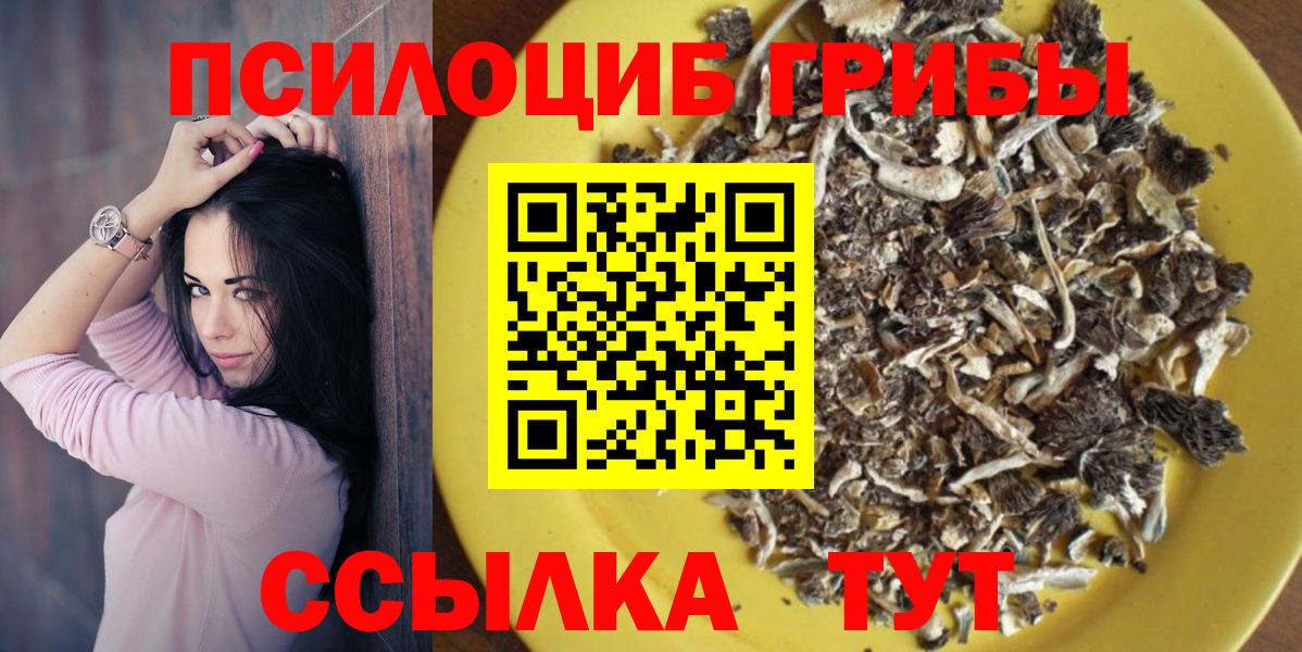 Галлюциногенные грибы Psilocybine cubensis Кудрово